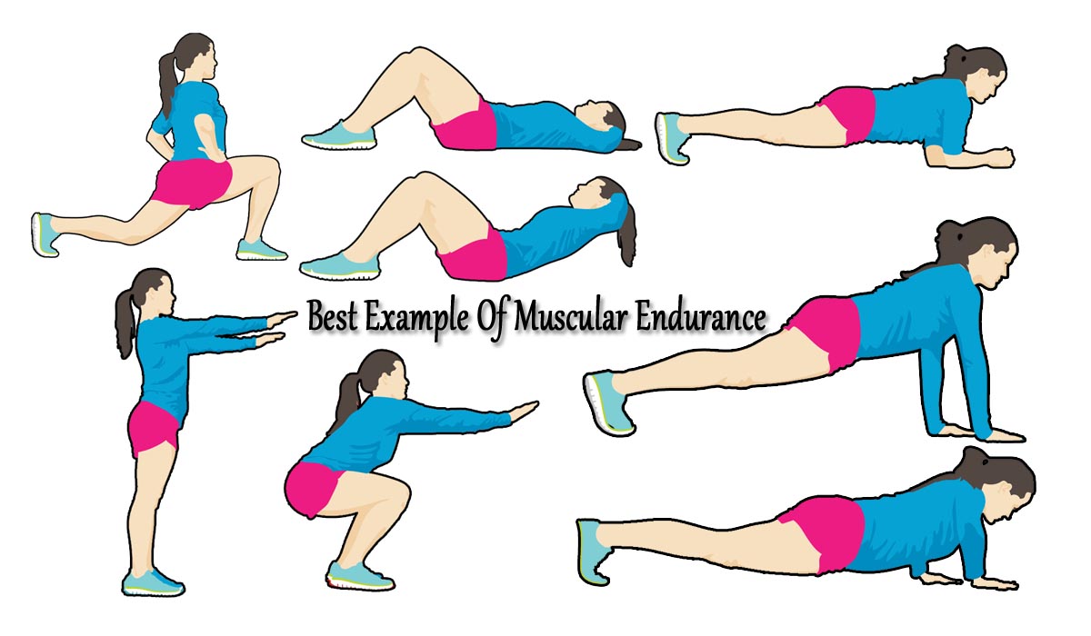 Which Is The Best Example Of Muscular Endurance