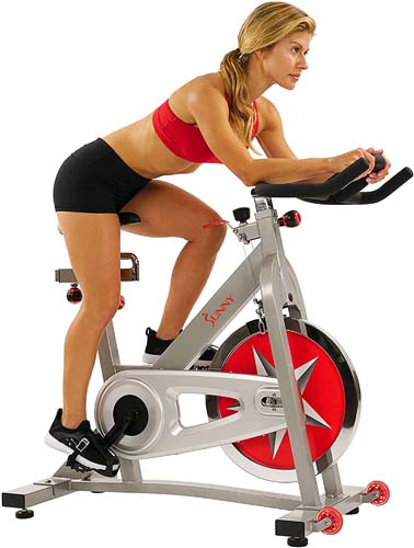 Sunny Health & Fitness Indoor Cycling Bike with 40 LB Flywheel and Dual Felt Resistance - Pro