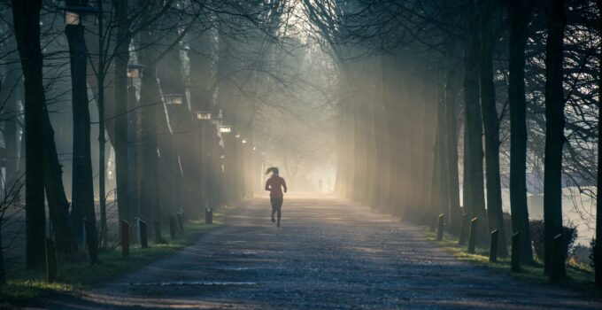 Person Running Near Street Between Tall Trees