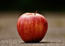 Shallow Focus Photography of Red Apple on Gray Pavement