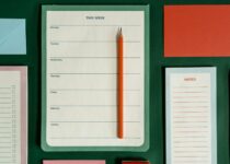 Stationery on Green Surface
